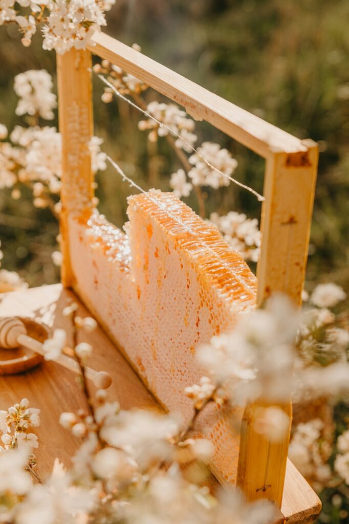 Raw Autumn Harvest Honey